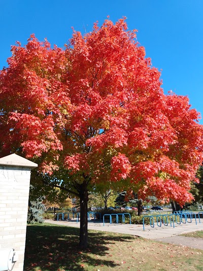 St. Louis Park Rec Center