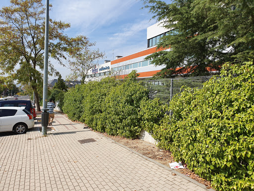 SAROGA | Inmobiliaria Las Rozas