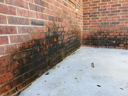 Trigger pressure washing services - Thumbnail