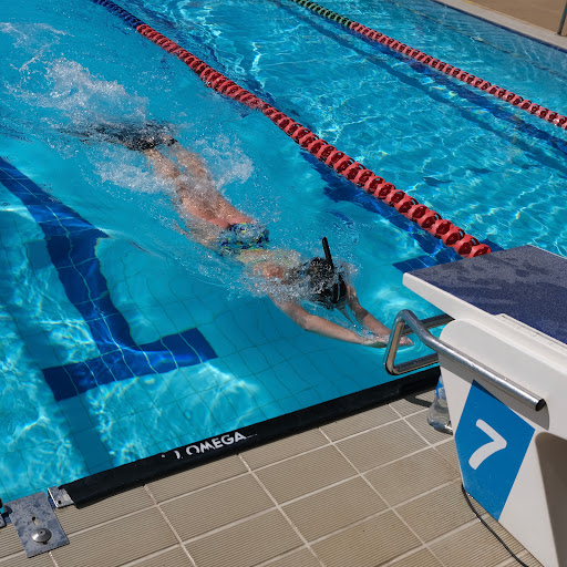 Finswimming NSW