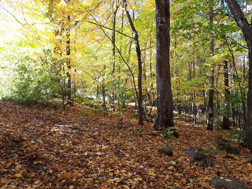 Parc GINGRAS, Mirabel - Thumbnail