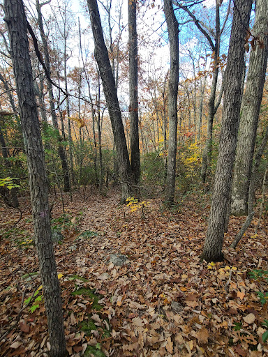 Indian Gap Rocks - Thumbnail