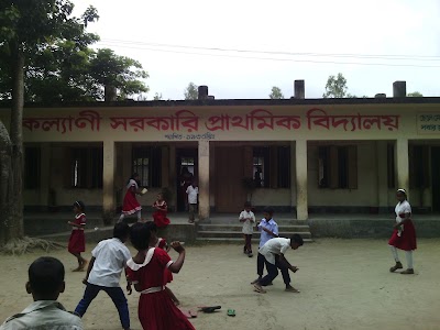 Photos of কল্যানী সরকারি প্রাথমিক বিদ্যালয়