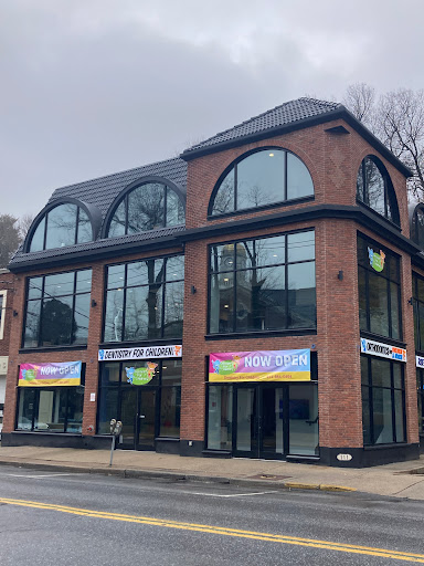 Dentistry for Children at Mt. Kisco