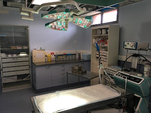 Photo n°4 de Clinique Vétérinaire Mazarin à Chilly-Mazarin (Vétérinaire)