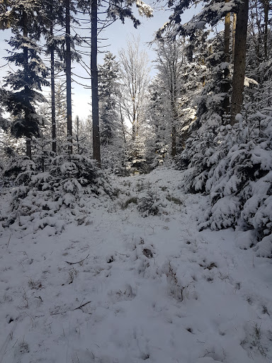 Wanderparkplatz Schellenberg (Greising)