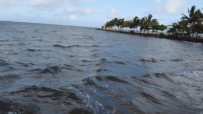 Photos of Apted Park