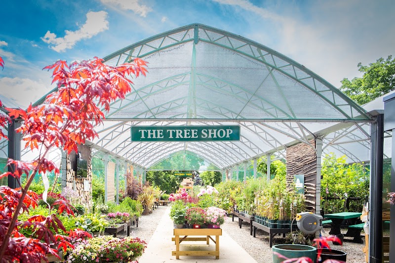 Frank P Matthews Tree Shop photo 3