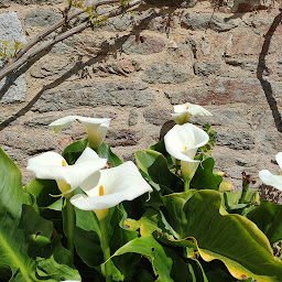 Photo n°43 de Talvern, Le Chant du monde, 5 chambres d'hôtes dont 1 pour pers. à mob. réduite (10 à 15 pers) et 1 gîte (2 à 4 pers) à Landévant (Gîte pèlerin)