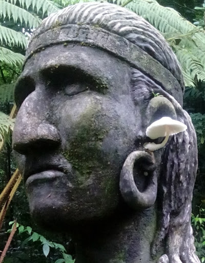 Photos of Finca El Indio
