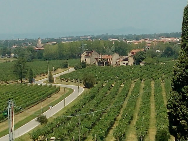 Osteria alla Torre