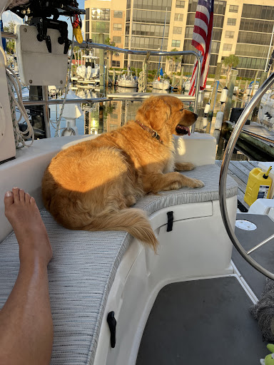 Charlotte Harbor Custom Upholstery - Thumbnail