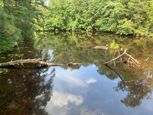 Woodford Cedar Run Wildlife Refuge - Thumbnail