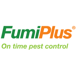 Fumiplus Gallery - Mexico