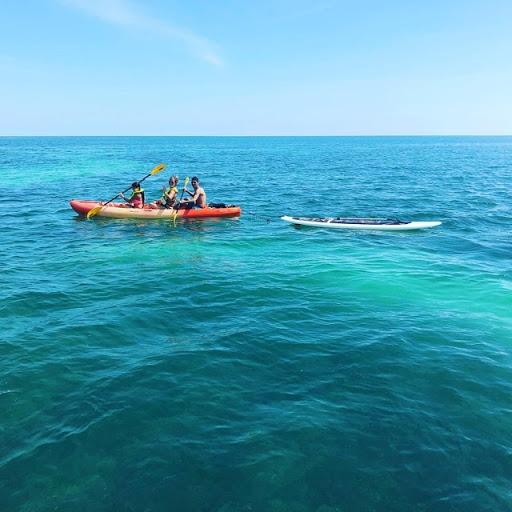 Blu Chi Charters - Visual