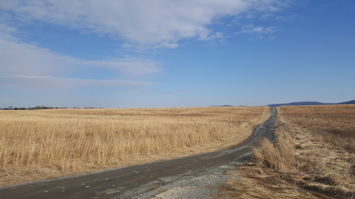 Alpha Grasslands Preserve