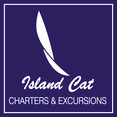 Photos of Island Cat