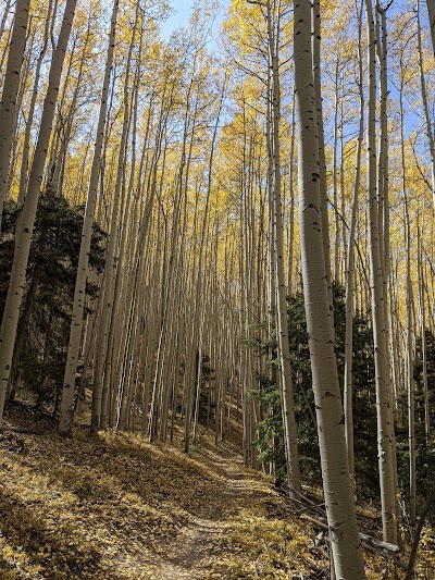 South Boundary Trail