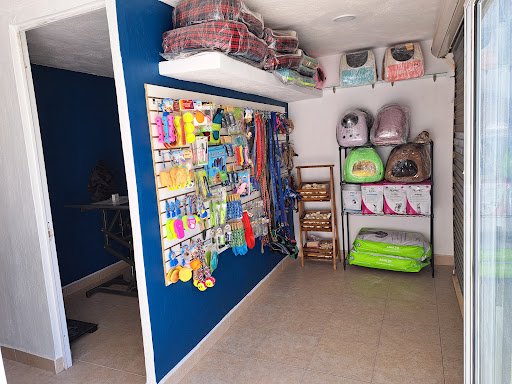 Veterinaria Dolly