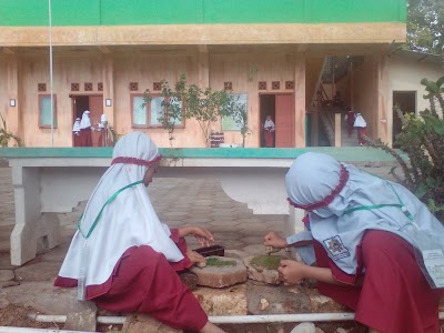 Photos of SD Integral Hidayatullah Tuban