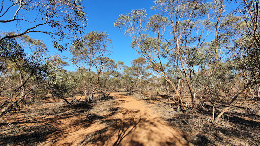 Mallee Stop walking track - Thumbnail