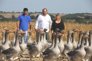 Photo n°1 de Foie Gras Ramajo - Le comptoir de Tistou auch à Auch (Cave à vins)