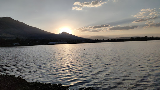 Presa el llano
