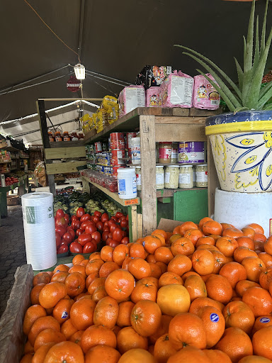 Green Apple Produce - Thumbnail