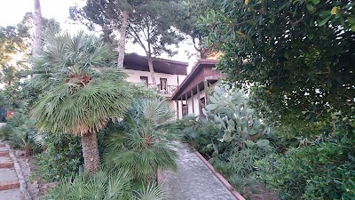 lodging