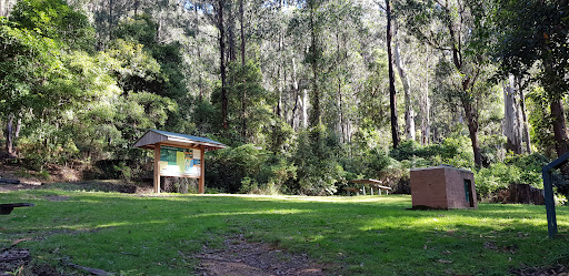 Goodenia Rainforest walking track - Thumbnail