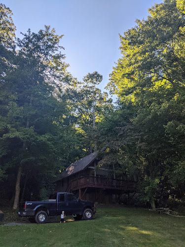The Tree Climber LLC