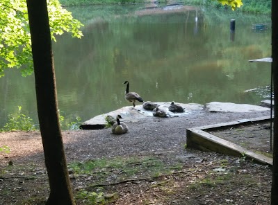 Audubon Society of Western Pennsylvania