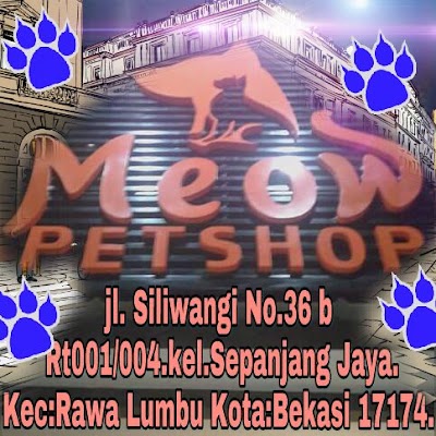 Photos of MEOW PETSHOP