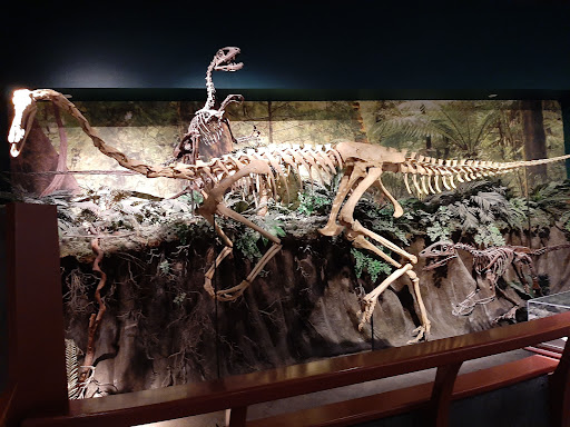 McWane Science Center - Visual