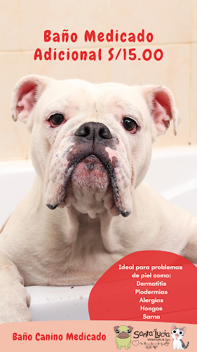 Veterinaria Y Spa Santa Lucia - Trujillo