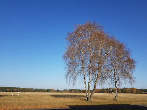 Naturblicke "Luftbild Camp Reinsehlen" Gallery - Germany