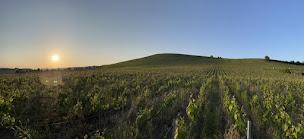 Photo n°46 de Calsis Restaurant à Aÿ-Champagne (Restaurant)