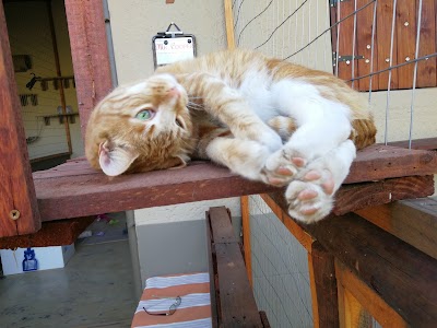 Photos of AllPaws Lodge