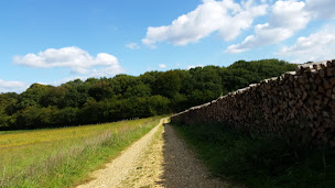 Photo n°18 de Trans Bois Energy 39 SARL à Commenailles (Magasin de bois de chauffage)