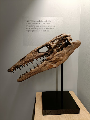 Extraordinary Objects - Visual