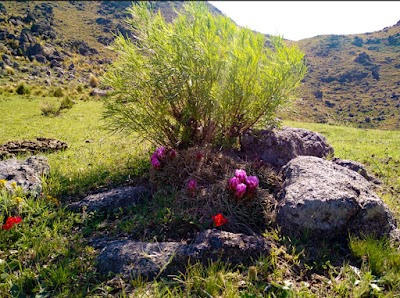 Photos of Cerro el Mogote