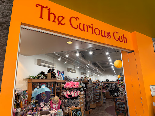 The Curious Cub Gift Shop Logo