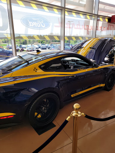 Thoroughbred Ford - Visual