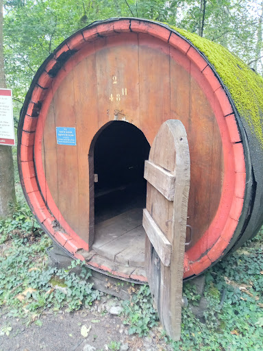 La source du Beaujolais Gallery - France