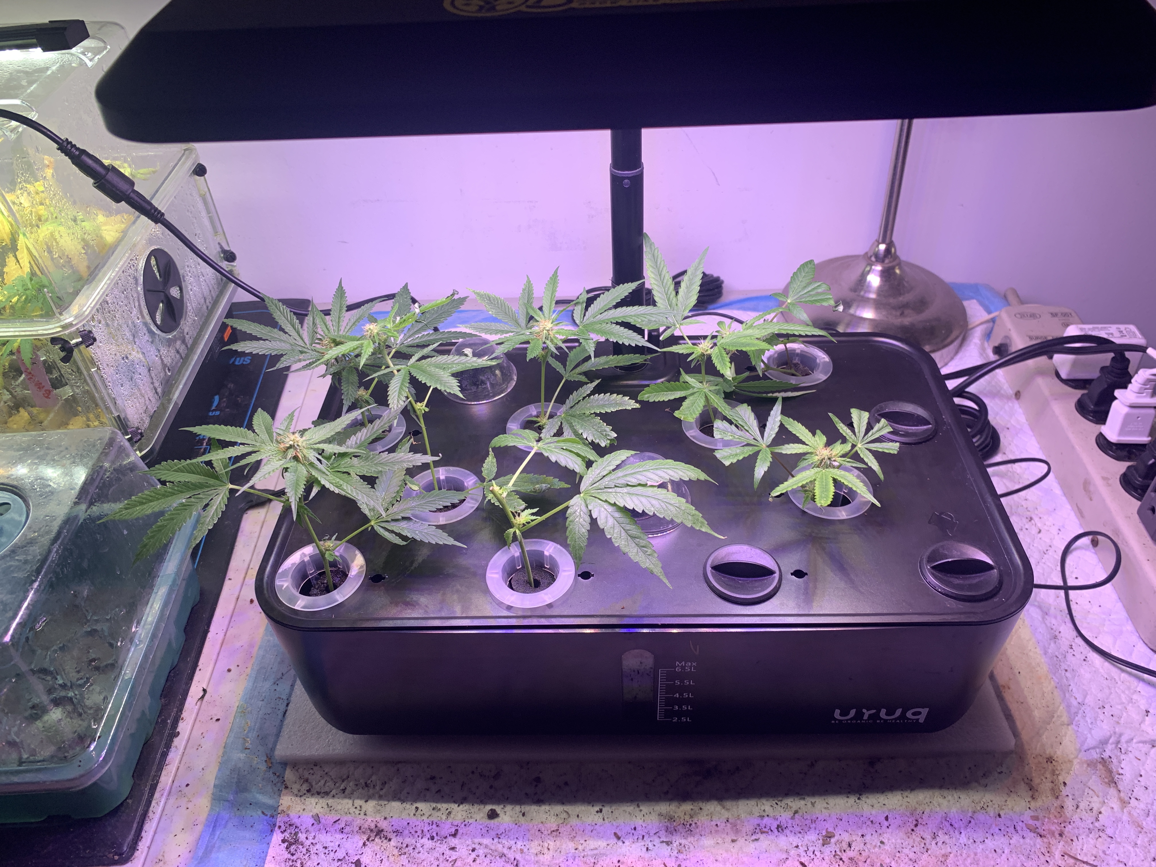Bmilk Grow Supplies