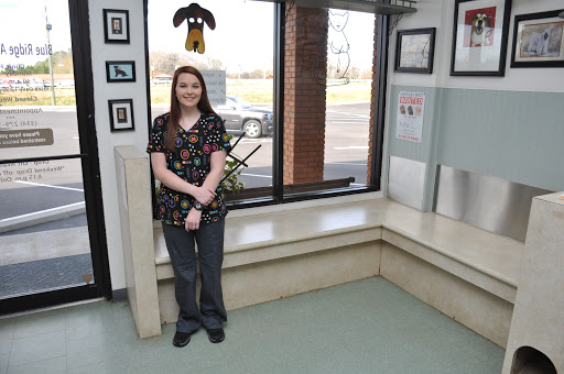 Blue Ridge Animal Clinic - Thumbnail