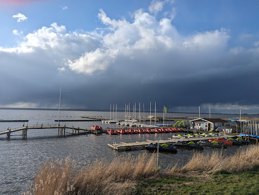 Dümmer Nature Park - Thumbnail