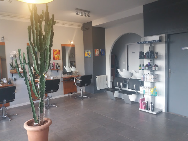 Peigne Ciseaux, salon de coiffure mixte