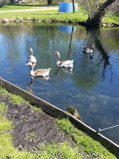 Beaver Springs Fishing Park