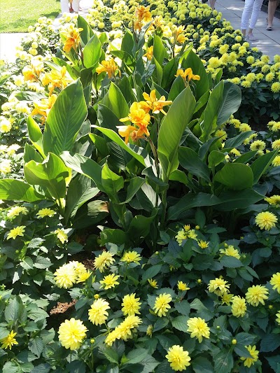 Photos of Kultarannan puisto